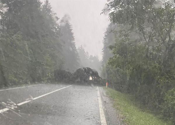 Nevihta podirala drevesa tudi na Koroškem